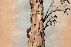 Tree Stduy 2